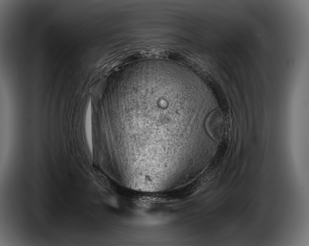 X0000086290699200704131548