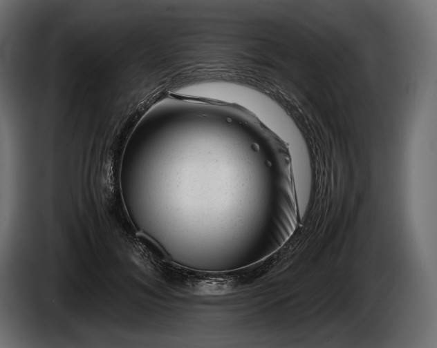 X0000086290700200704131548
