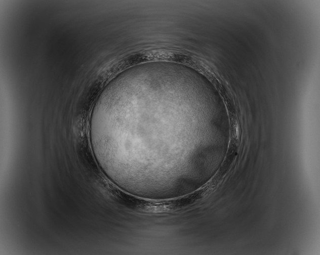X0000086290701200704131548