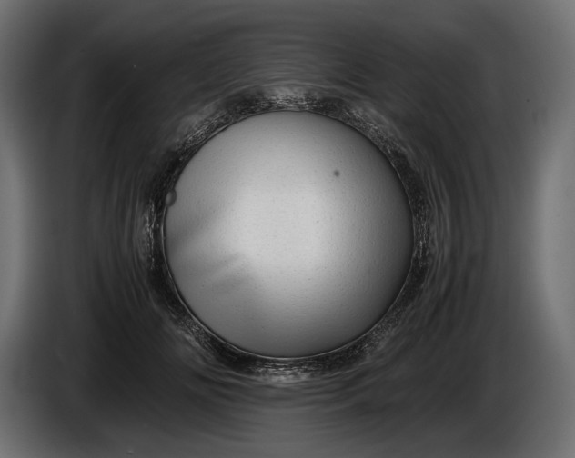 X0000086290702200704131548