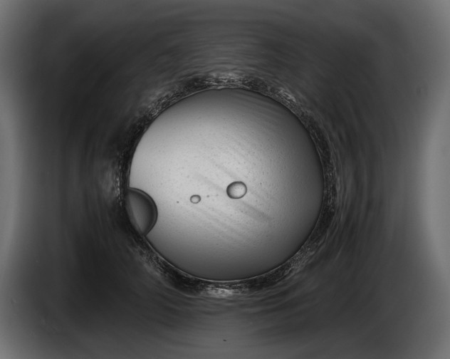 X0000086290706200704131548