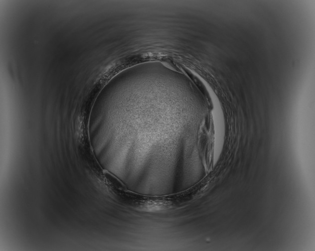 X0000086290708200704131548