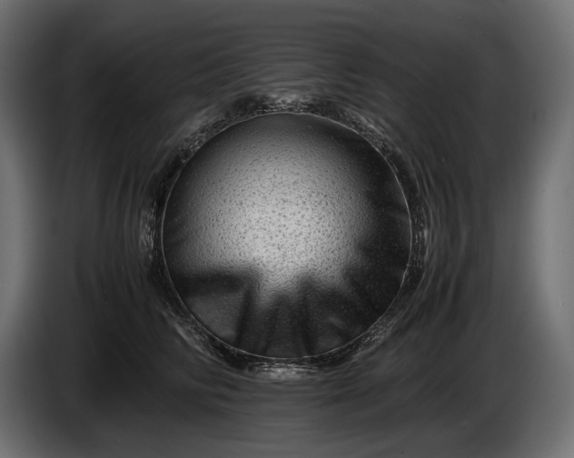X0000086290710200704131548