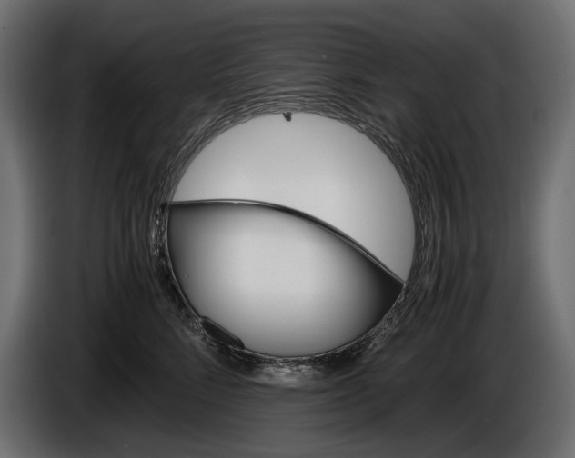 X0000086290712200704131548