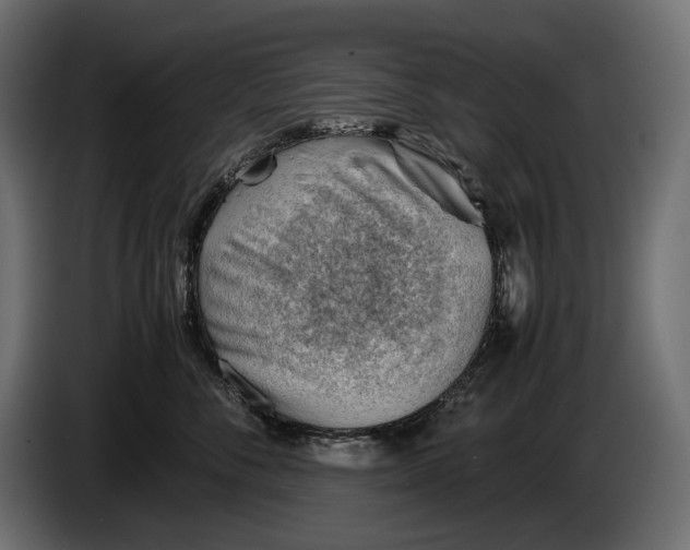 X0000086290716200704131547