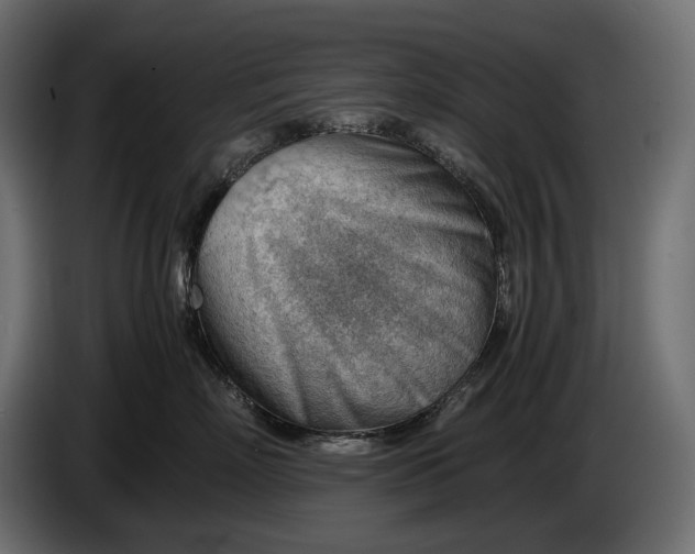 X0000086290718200704131547