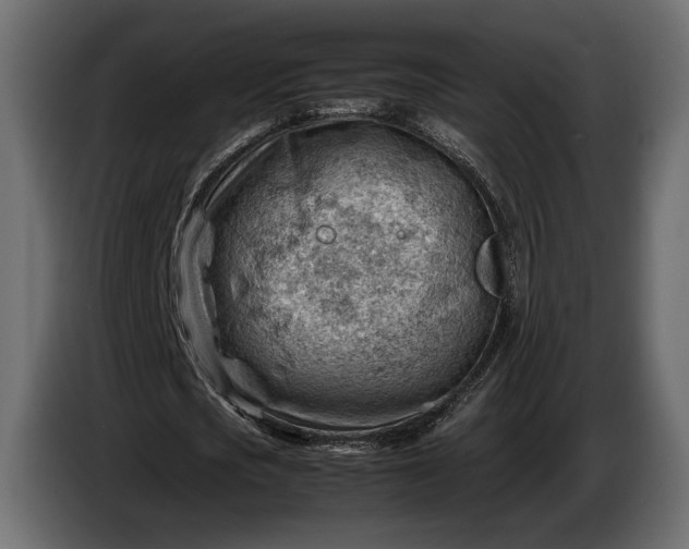 X0000086290721200704131547