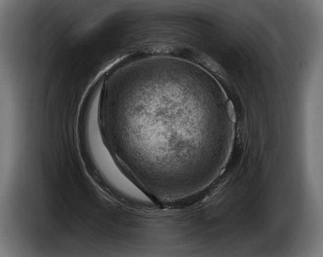 X0000086290722200704131547