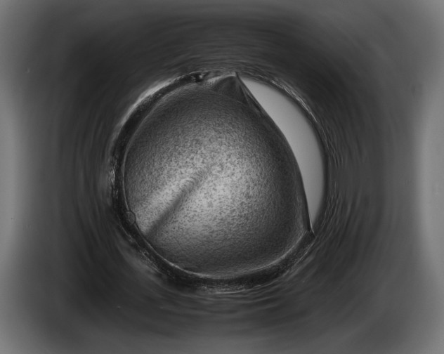 X0000086290723200704131547