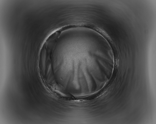 X0000086290724200704131547