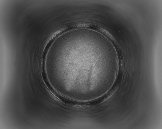 X0000086290725200704131547