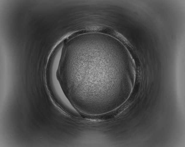 X0000086290726200704131547
