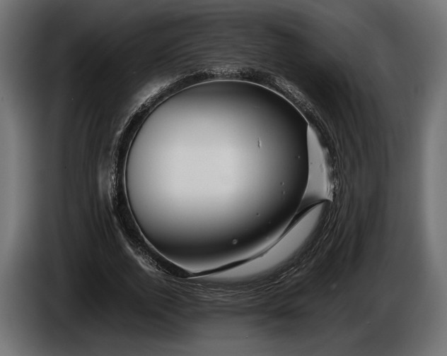 X0000086290728200704131547