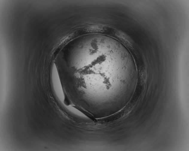 X0000086290729200704131547