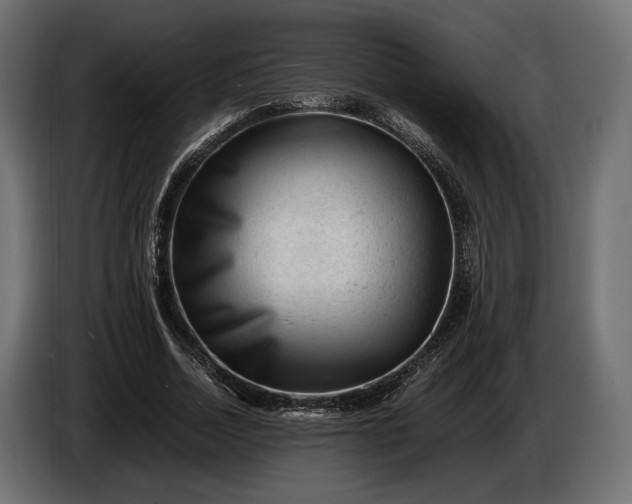 X0000086290730200704131547