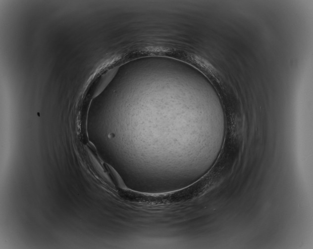 X0000086290731200704131547