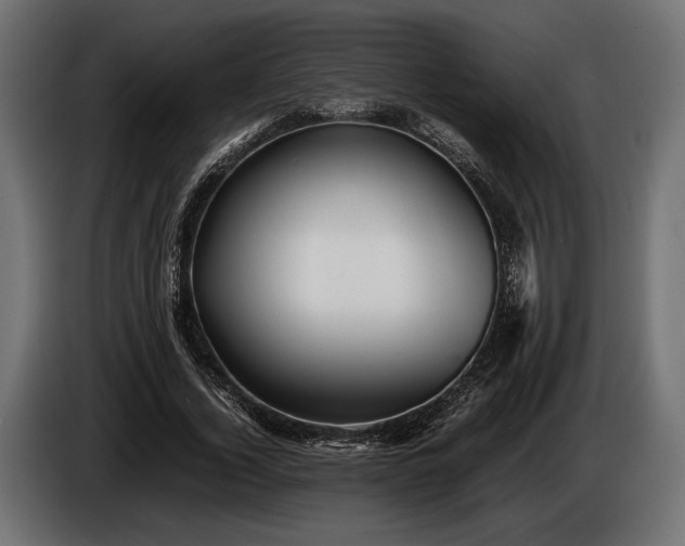 X0000086290732200704131547