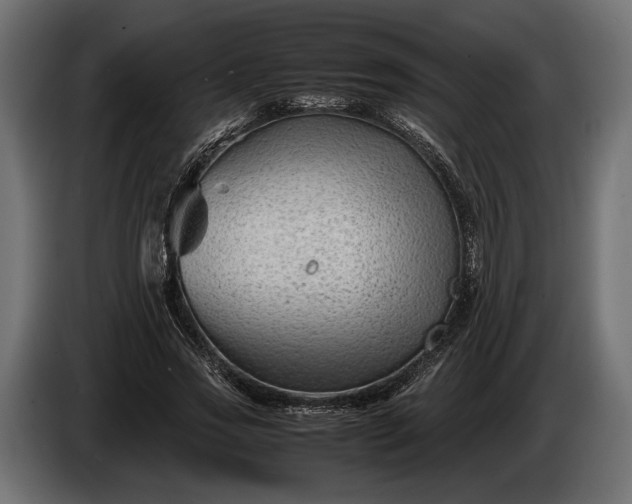 X0000086290733200704131547