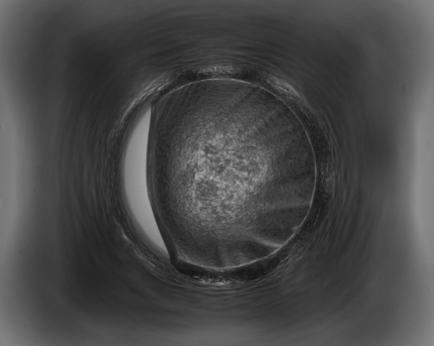 X0000086290735200704131547