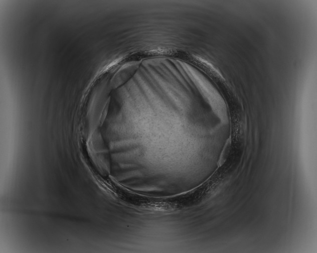X0000086290736200704131547