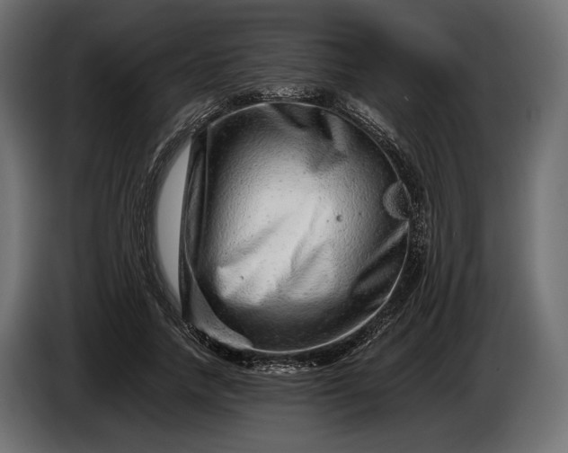 X0000086290738200704131547