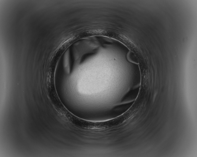 X0000086290739200704131547