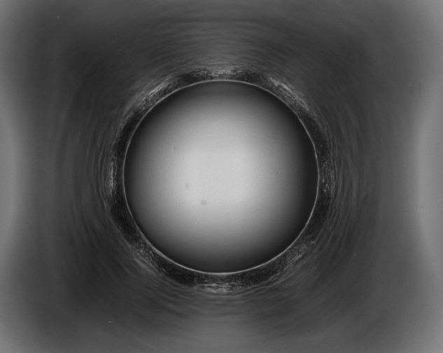 X0000086290740200704131547
