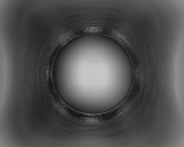 X0000086290741200704131547