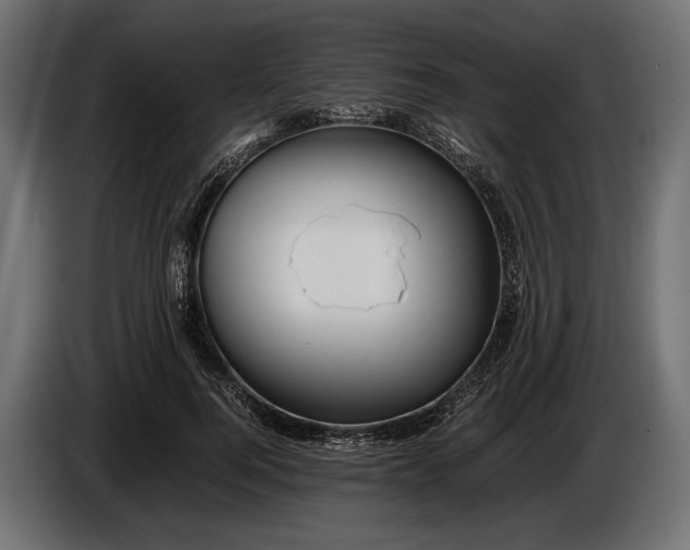 X0000086290744200704131547