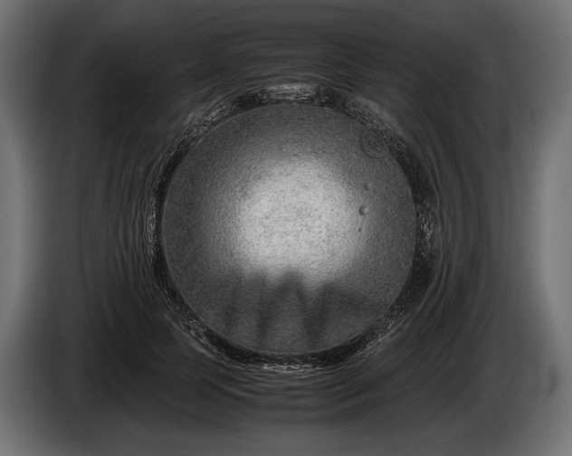 X0000086290745200704131547