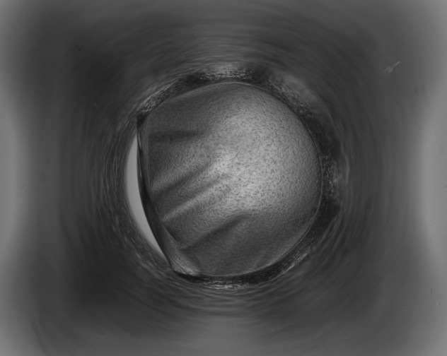 X0000086290746200704131547