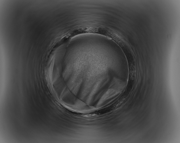 X0000086290748200704131547
