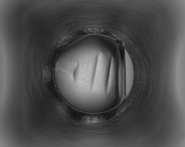 X0000086290751200704131547