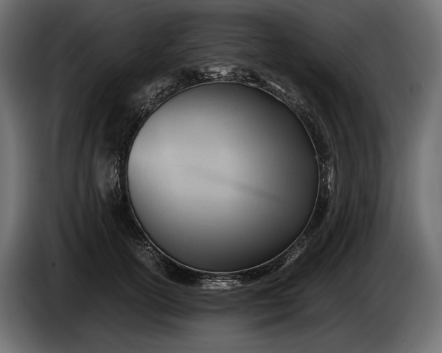 X0000086290754200704131547
