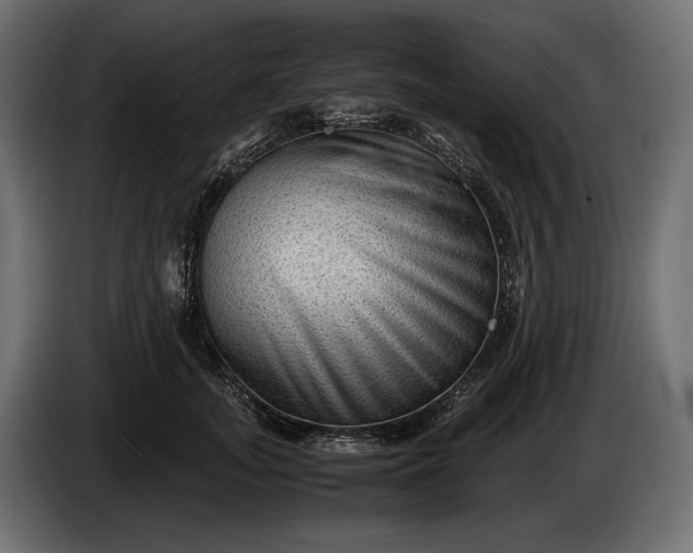 X0000086290755200704131547