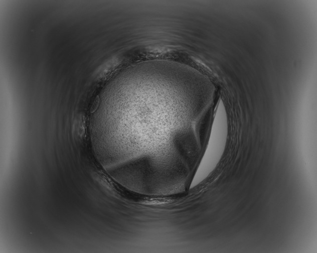 X0000086290758200704131547
