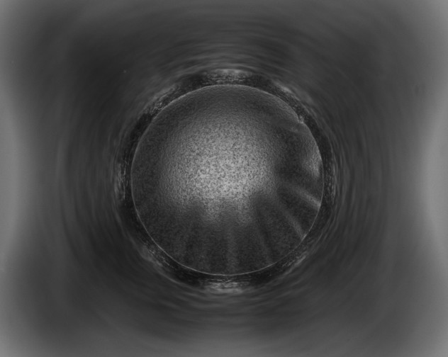 X0000086290759200704131547