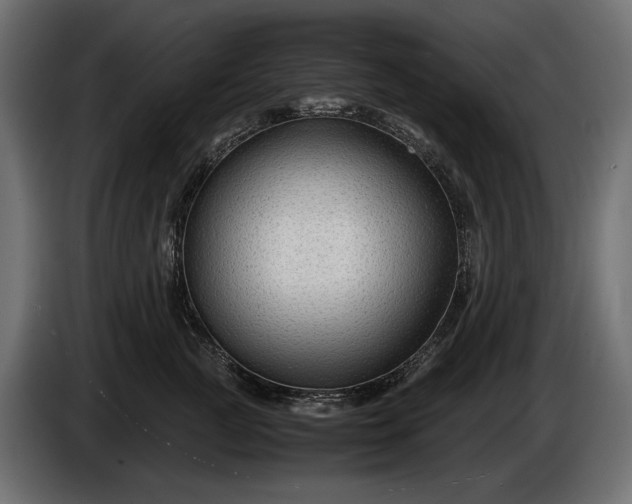 X0000086290761200704131547