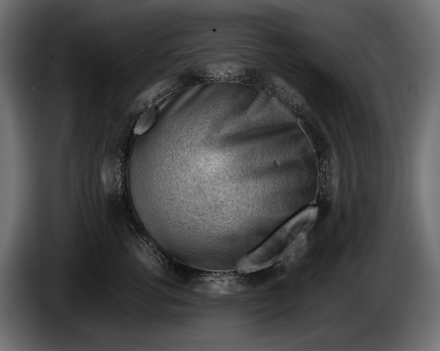 X0000086290762200704131547