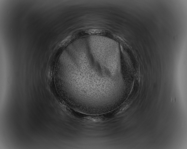 X0000086290763200704131547
