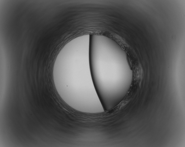 X0000086290764200704131547