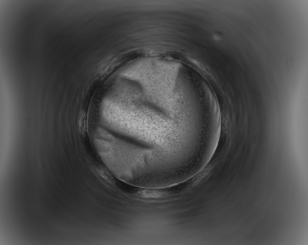 X0000086290766200704131547