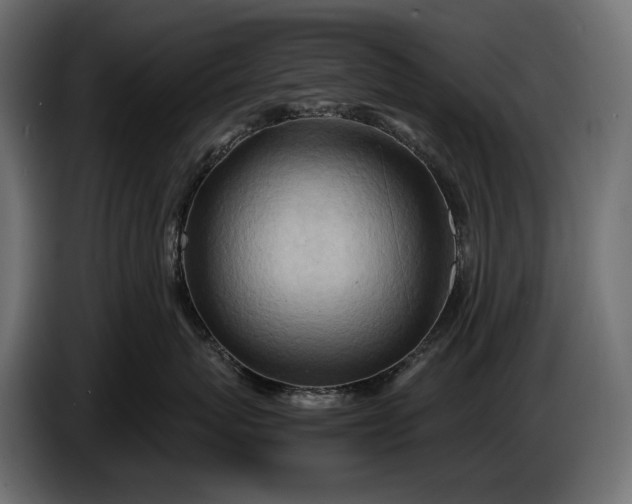 X0000086290767200704131547