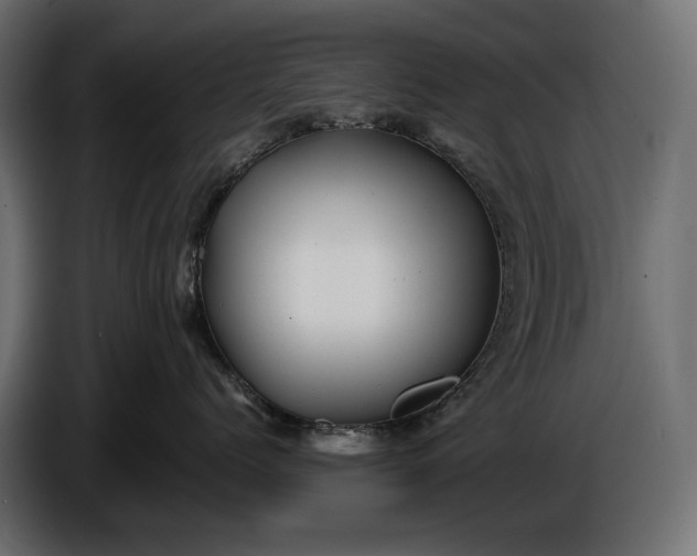 X0000086290768200704131547
