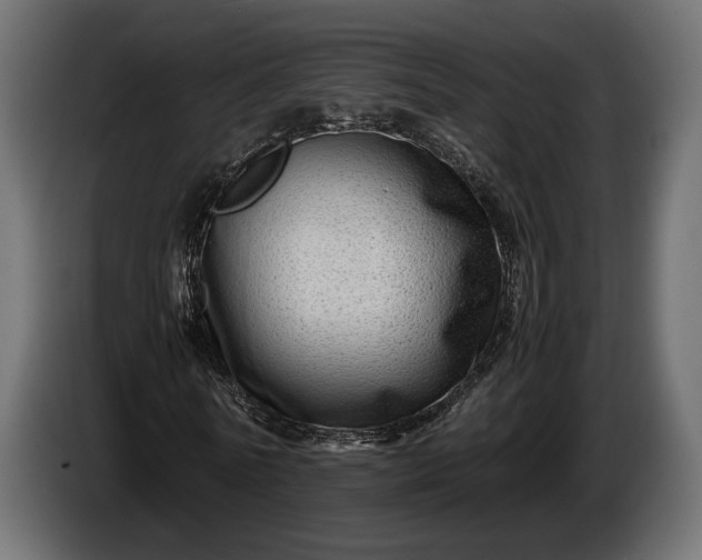 X0000086290770200704131547