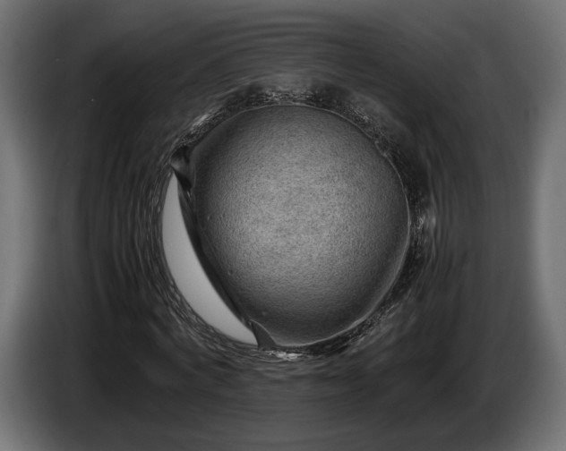 X0000086290772200704131547