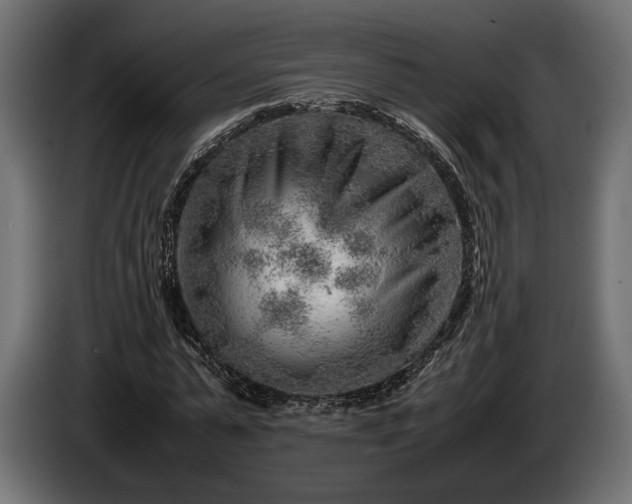 X0000086290775200704131547
