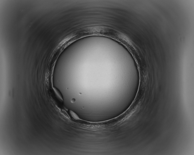 X0000086290778200704131547