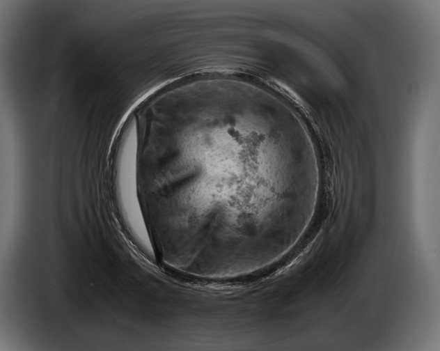 X0000086290779200704131547
