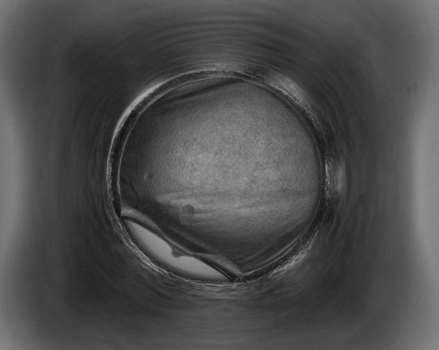 X0000086290780200704131547